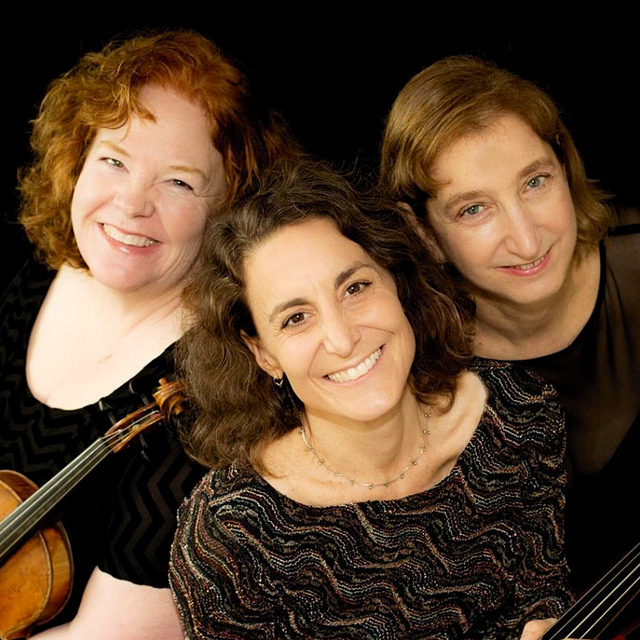 Vivaldi Project